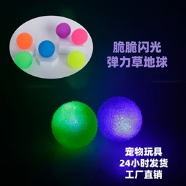 减压玩具;狗狗玩具;发光玩具