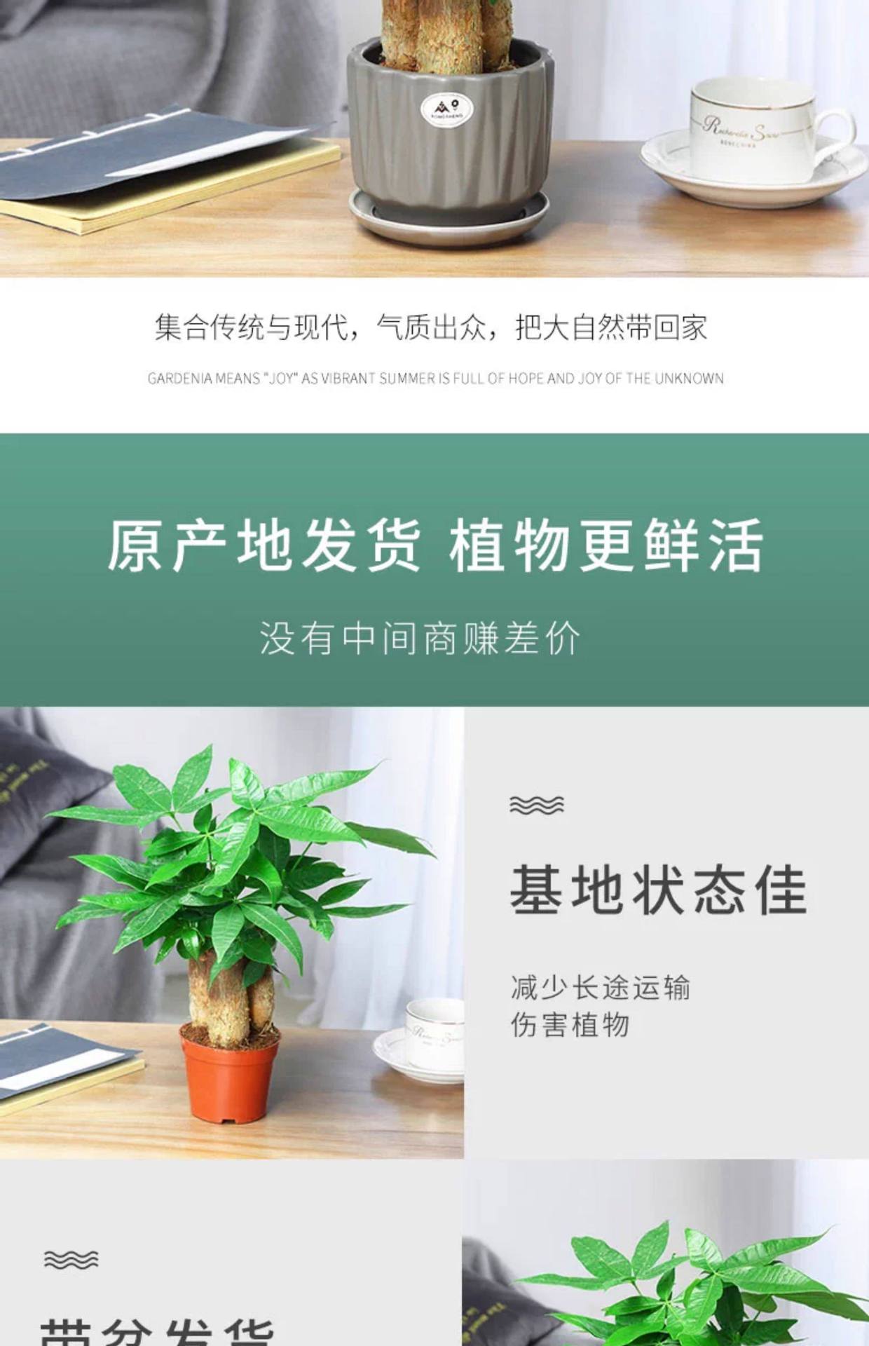 详情图