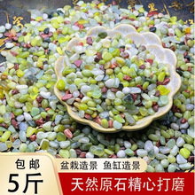 鱼缸底砂造景砂石水草铺底摆件生态天然雨花石鹅卵石鱼缸造景石头