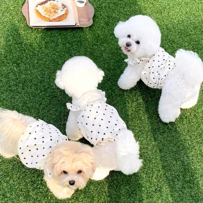 Beige encantador viento princesa punto de vendaval vestido pequeño perro gato fuera de primavera y verano mascotas delgada ropa de perro