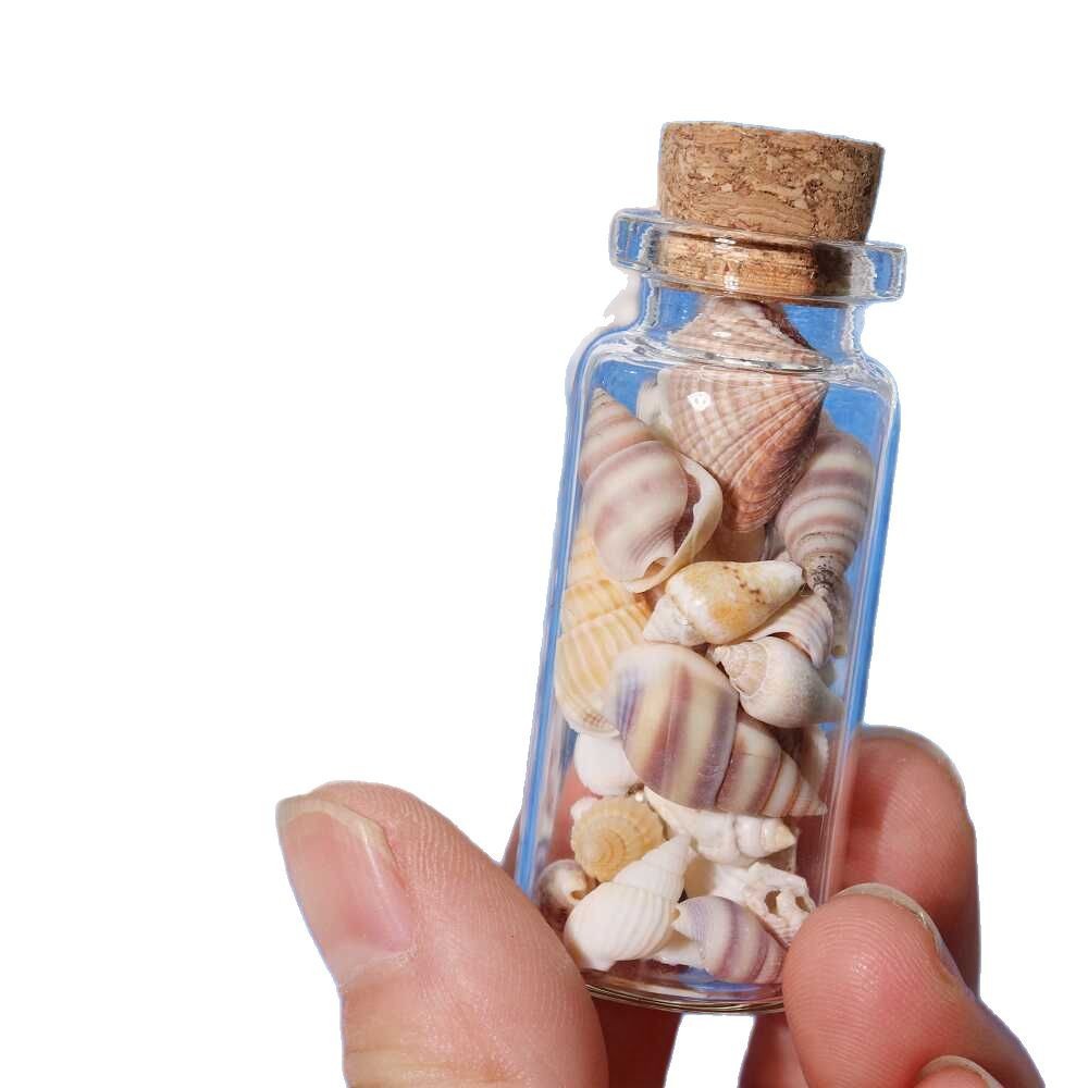Botella de mar azul botella de rafting botella de deseo botella de regalo creativo botella de vidrio conchas pequeñas botellas de regalo de cumpleaños