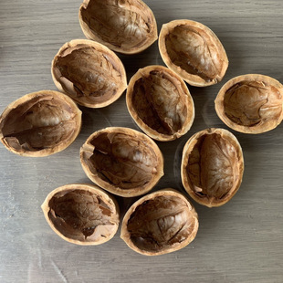�낀���҈Թ����׃��@�ֹ����Ϻ��Қ��՚������뚤����(���Ɍ�)