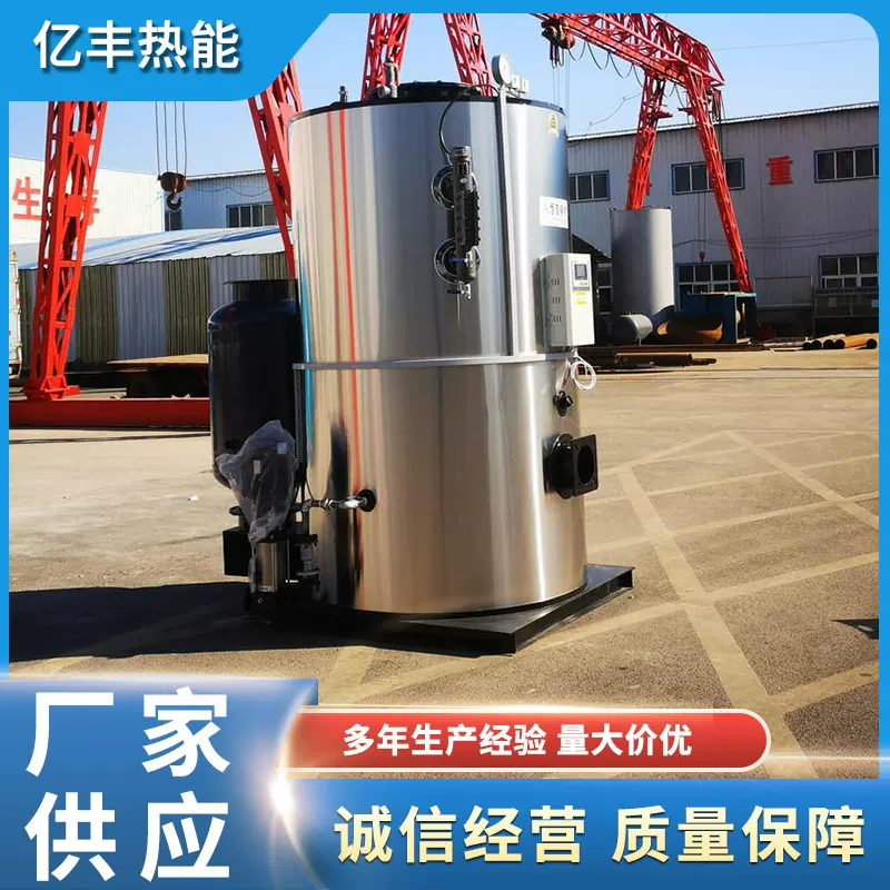 商用燃油燃气蒸汽发生器食品蒸煮汗蒸养护化工洗涤工业蒸汽锅炉