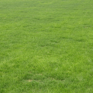 ��ƺ�N���ļ�������o�²�Ƥ���޼��������R��������é�����ݲ���