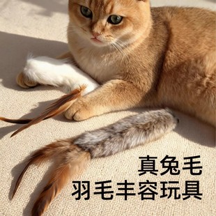 ��Ȼ��ëë�q��ߚ�ζ�S�����˽␞��ë�x�`����؈��βë�l؈���