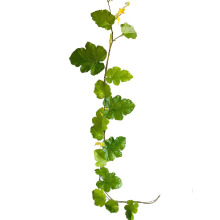 ����ֲ�������~�����ٗl�ܵ�����b����ٴ��~�������ܹ������~