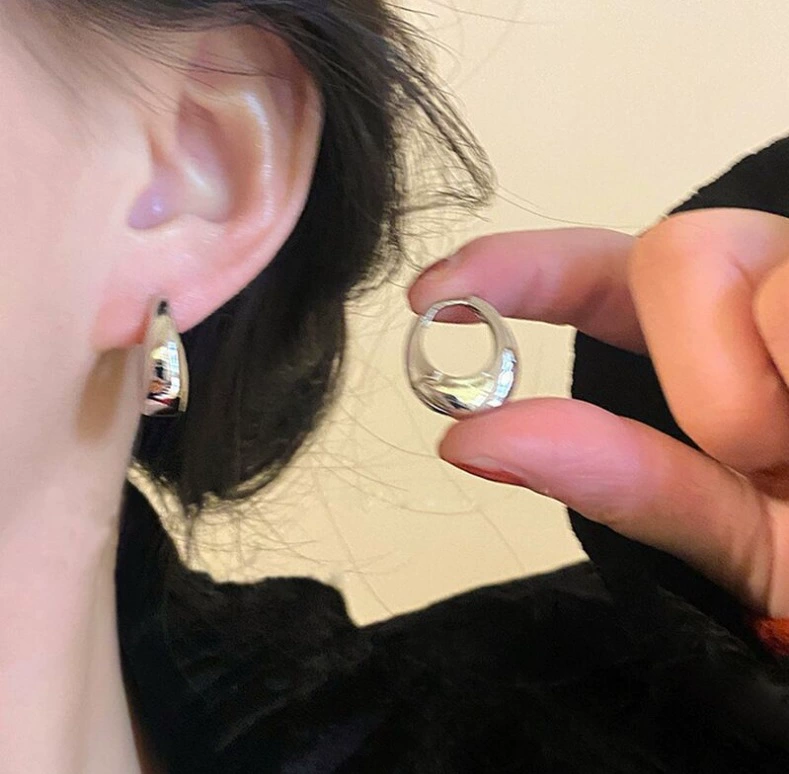 Silver 925 Earrings — Light Luxury Hoops & Drops, High-Quality Sterling, Multiple Sizes