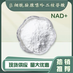 NAD+ &beta;-�����������ʶ�������ߺ����������oøIԭ��100g/��