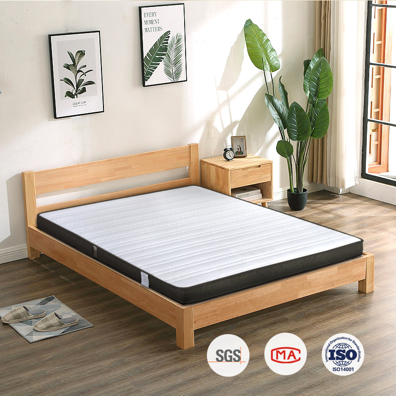 Rental House Tatami Natural 3E Environmentally Friendly Brown Mat Dormitory Soft and Hard Dual-Use Latex 3D Spine Protection Student Mattress Thin