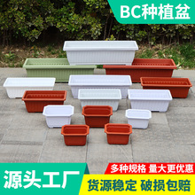 �N����������̨��ݮ�Nֲ���ͥ�N�������ϻ����̨�N������