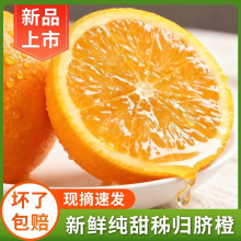 ���¼t�������wĚ�����r��ժ�����r��Ƥ��֭��������]�����ȬFժ