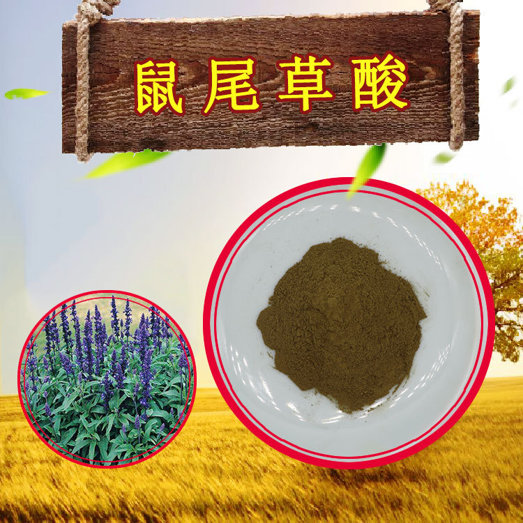 迷迭香提取物现货包邮迷迭香酸25%可分装可附质检鼠尾草酸10%