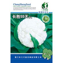 �L��55���ɻ��˷N�������๣С�׿����ԏ������͝��M���߲˷N����