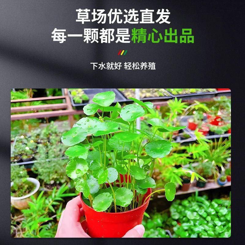 5d3e955e-9ab2-44d7-b373-da10b01ac16f.jpe