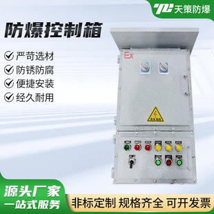 Stainless Steel Carbon Steel Explosion-Proof Control Box Explosion-Proof Distribution Box Carbon Steel Stainless Steel Empty Box Junction Box Instrument Box
