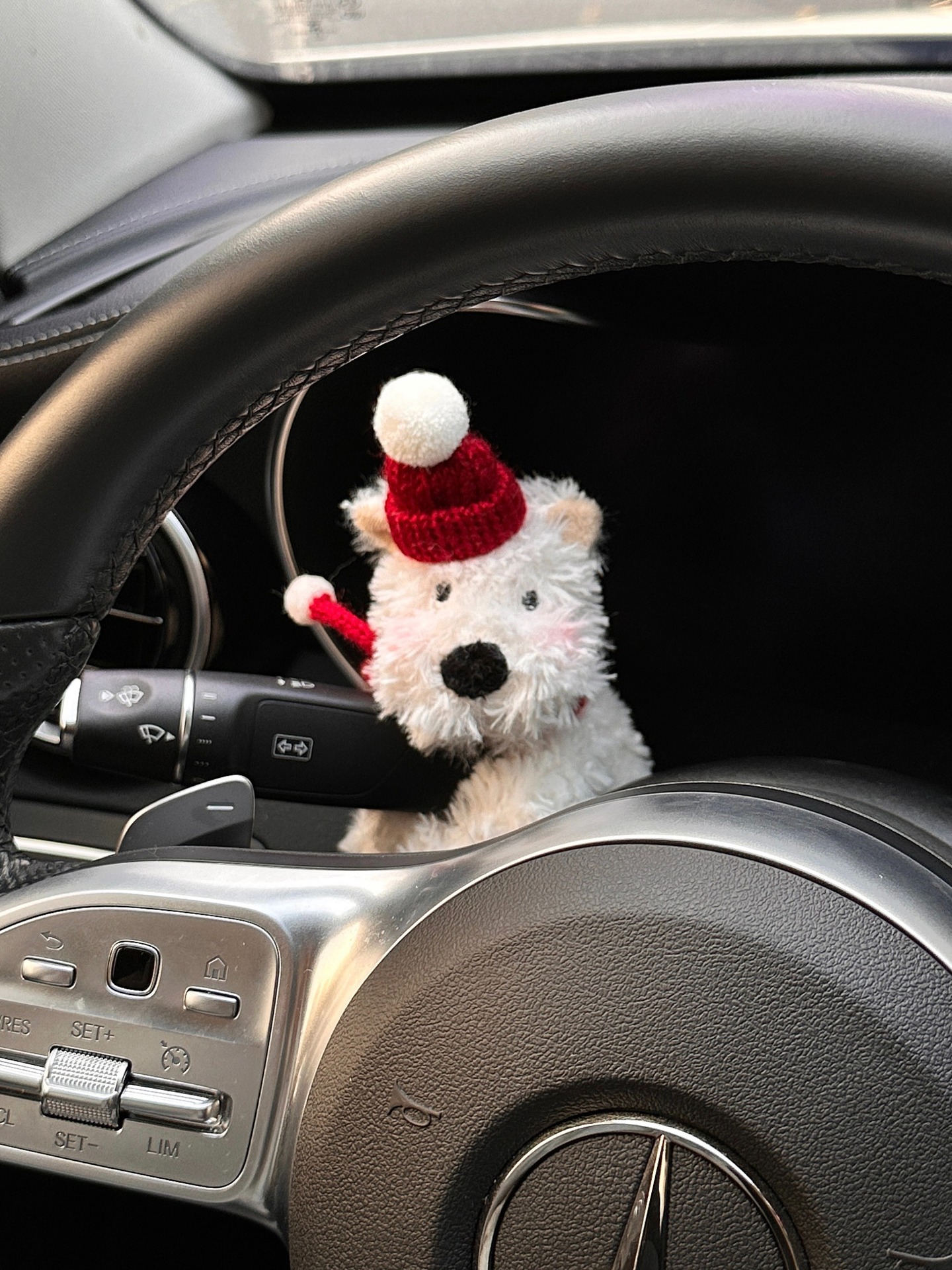 Adornos de la pantalla de control central del automóvil West Highland lindo perro en el automóvil, accesorios de decoración para niñas para muñecas Tesla