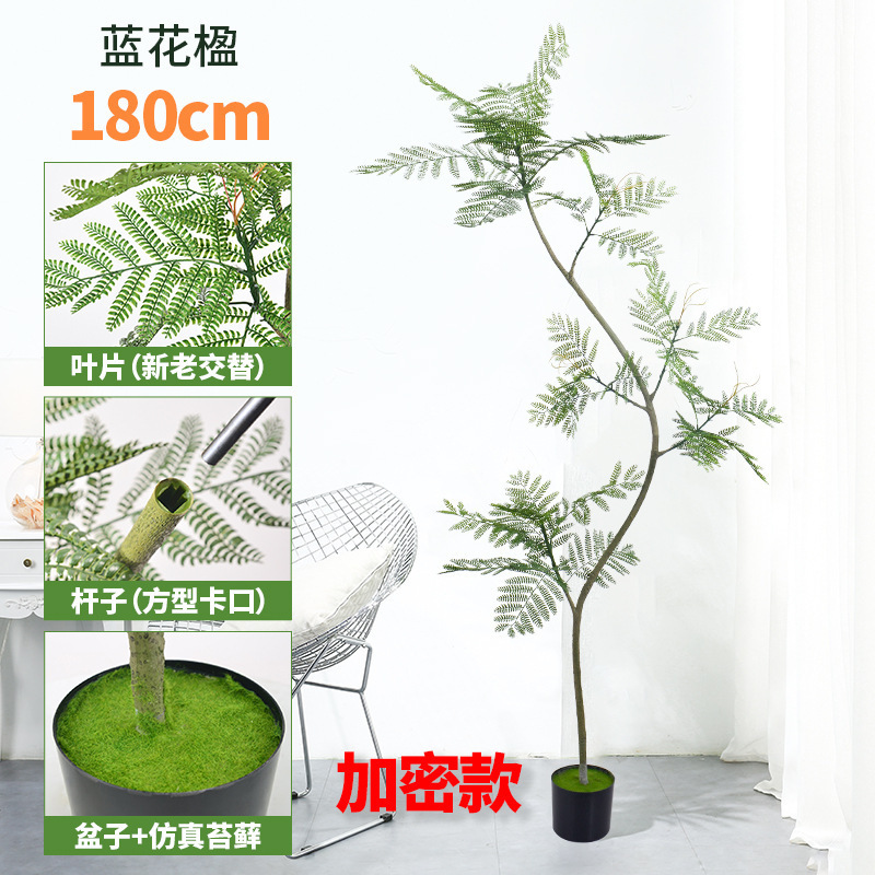 蓝花楹仿真绿植落地盆栽仿生植物摆件室内客厅沙发旁装饰盆景假树|undefined