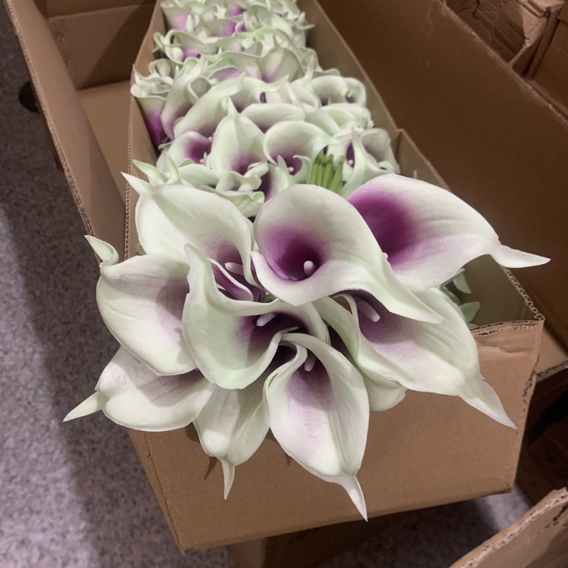 QQ图片20230331193942