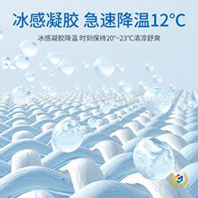 ?2025�ͨ�k�����|�ļ�����W��Ů�������|��܇�������z��