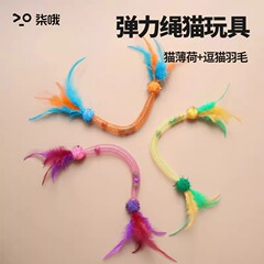 猫のおもちゃの弾力ロープの猫のミントのボールは猫の棒の羽をからかいます。