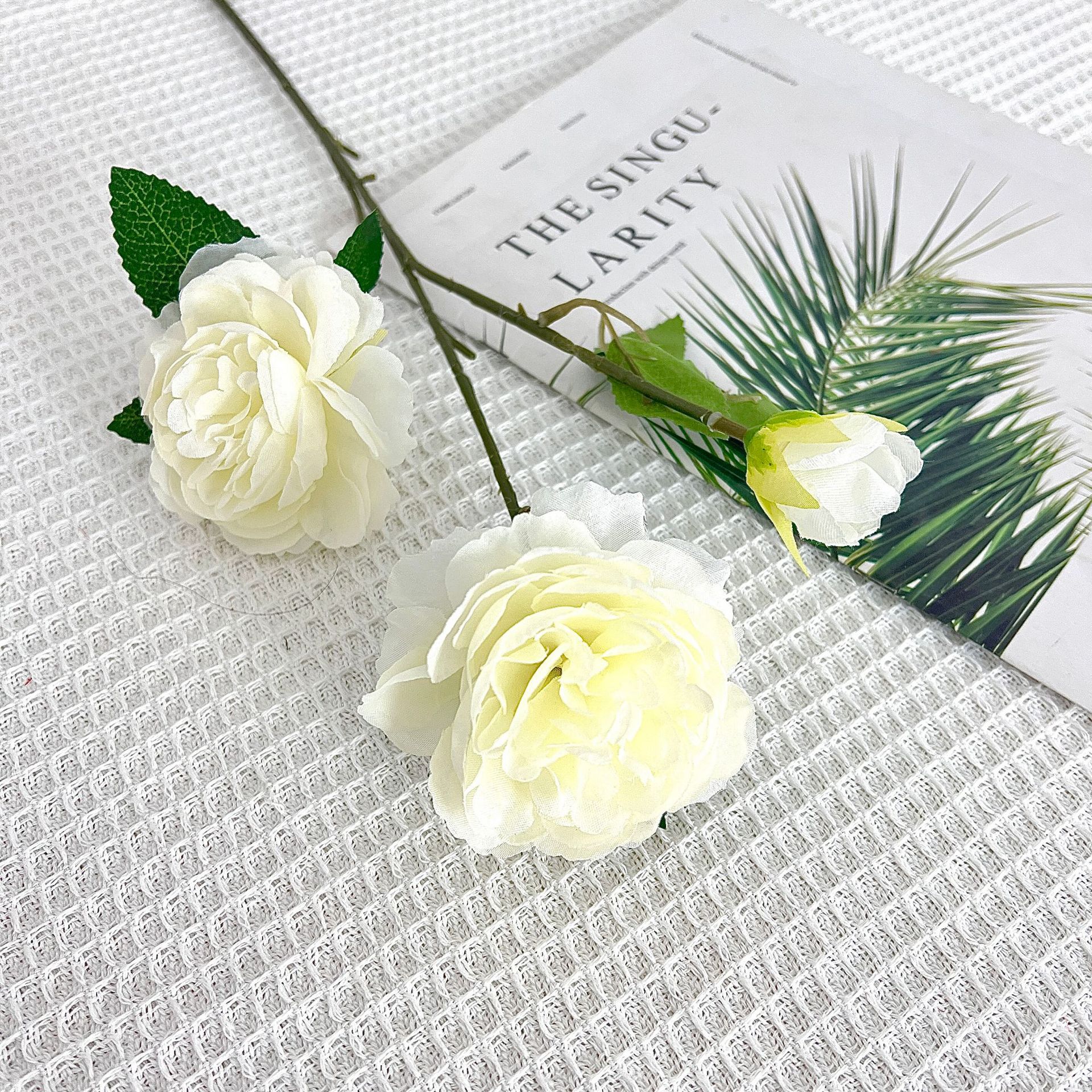 양 모란-우유 흰색 (메인 사진)