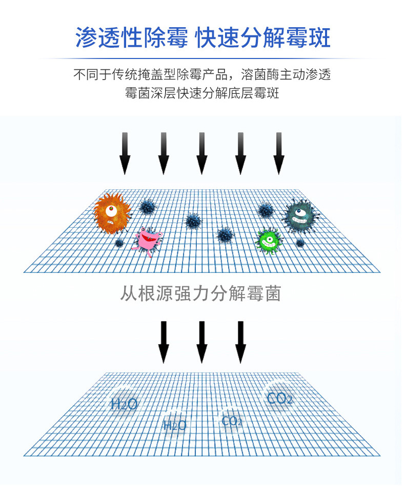 除霉剂详情_09.jpg