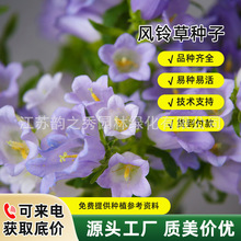 L⏻NL⏲ͥԺ^̨҃ԻܷNļ_