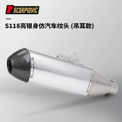 stainless steel 51mm diameter – Motorcycle exhaust pipe - s118-bright-silver-body-imitation-car-pattern-head-ear-hanging-type