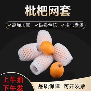 Loquat Net Bag for Express Delivery Protection, Anti-Collision Fig Pearl Cotton Foam High-Elastic Thickened Small Size Protective Net Bag