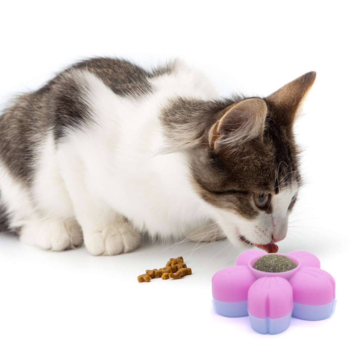 Juguetes para gatos Auto-hola para aliviar el aburrimiento