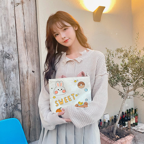 A versatile canvas bag for women, wholesale fashionable small cloth bag, summer shoulder bag, dropshipping, hand-held bag.