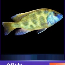 �����~���w���������R���s���~�Ꭷ��ˮ���B�ͻ���~���]����