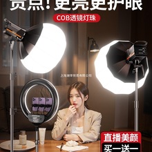 直播补光灯主播专用摄影灯专业直播间球形灯柔光灯摄影灯光设备全