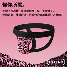 狂野豹纹跨境新款男士双丁内裤性感情趣内裤趣味弹力透气夜店低腰