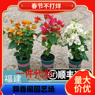 һ�����l��S���]����÷���Ԏ����l؛�G���ļ��_���ذ�t�����Ϙ�