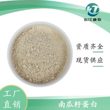 南瓜籽蛋白60% 水溶性南瓜粉 食品级植物蛋白 规格齐全 SC厂家