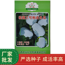 广西农科院蔬菜研究所育成粉皮小冬瓜大田种植蔬菜种子批发