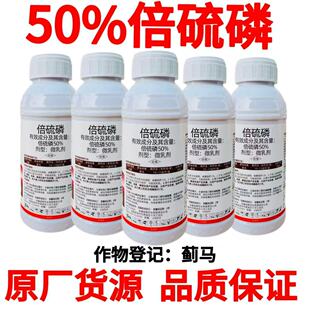 �Z���R50%��������rș���x���������Ӷ��������E�R���x����