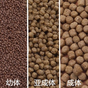 Turtle Food Turtle Feed Brazilian Turtle Grass Turtle Food Semi-Aquatic Turtle Food Dried Shrimp Tortoise Ornamental Turtle Special Small Turtle Food
