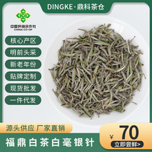 ���ڸ����ײ贺��̿����ǰ�^���²���һ���׺��y�ɢ���~Ʒ�b����