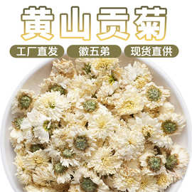 徽五弟刚刚产新黄山白菊花黄山菊花茶原产地多品源头大货批发荷叶