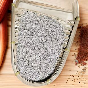 ���K�Ѱ��K�����l�K�����K�Ӱ��K�����K�ӷ��K�鳴���K�ӿ�ʳ��