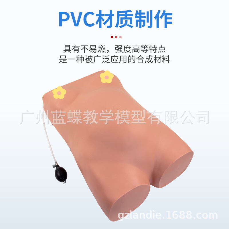 �߼������и����ģ�Ϳ���̥���Ķθ�������̥����������ѵ��ģ��