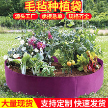 �羳���lë�ַNֲ����ɫ�҃���A�ηNֲͰ�o������ͥ�@ˇ����Ͱ