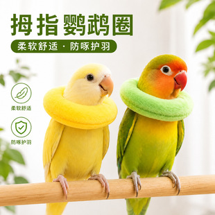 �W�^����ɯ��Ȧ�܂����o�Ȧĵ����Ƥ����ë��ҧë�B�ò��ײ�Ȧ