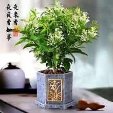 ���؃r��á���Ʒҹ���������ļ���������x���ܺ��B�辰��Gֲ