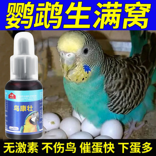 �W�^�ߵ��B�µ��B�����������W�^�����䌦����ܾ����Bʳ���B���