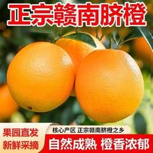 �����M��Ě�ȳ��������r�M��Ě��ˮ��ժ�ք������������������]