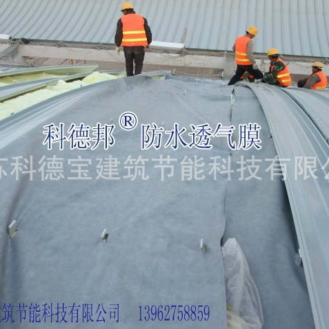 纺粘聚乙烯防水透气膜（标准膜、墙体膜）