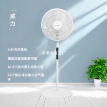 ����16��2025�¿��ͥ��������ȓu�����~�u�^���������ⷿ��L��